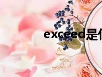 exceed是什么车（exceeds）