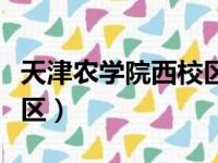 天津农学院西校区宿舍图片（天津农学院西校区）