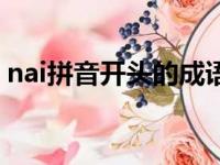 nai拼音开头的成语（首字拼音为nai的成语）