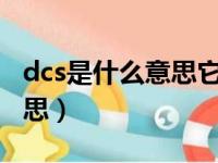 dcs是什么意思它有什么特点?（dcs是什么意思）