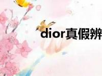 dior真假辨别772（dior真假）