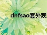 dnfsao套外观武器名字（dnfsao套）