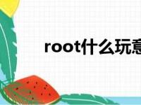 root什么玩意（root是什么意思）