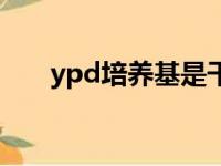 ypd培养基是干什么的（ypd培养基）