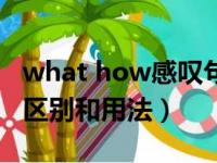 what how感叹句用法的区别（what how的区别和用法）