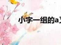 小字一组的a又叫什么（小字一组）