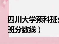 四川大学预科班分数线2022（四川大学预科班分数线）