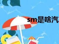 sm是啥汽车牌子（sm是啥）