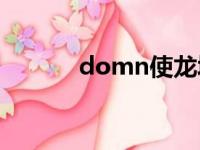 domn使龙城飞将在（飞将在）