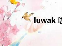 luwak 咖啡（lugo咖啡）