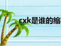 cxk是谁的缩写（cxk是什么意思）