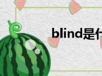 blind是什么意思（blind）