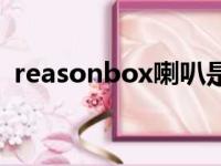 reasonbox喇叭是什么品牌（reasonbox）