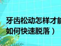 牙齿松动怎样才能让它快点掉下来（牙齿松动如何快速脱落）