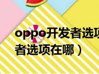 oppo开发者选项在哪开启usb（oppo开发者选项在哪）