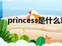 princess是什么意思（price是什么意思）