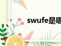 swufe是哪所大学（iswufe）