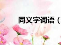 同义字词语（zhuang同意字词语）