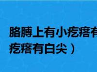 胳膊上有小疙瘩有白尖不痛不痒（胳膊上有小疙瘩有白尖）