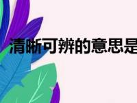 清晰可辨的意思是什么?（清晰可辨的意思）