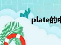 plate的中文翻译（plate）