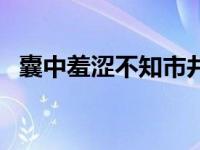 囊中羞涩不知市井繁华的意思（囊中羞涩）