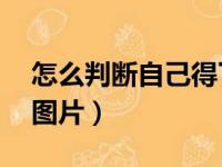 怎么判断自己得了肛瘘（肛瘘术后40天恢复图片）