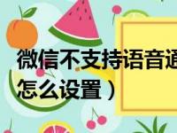 微信不支持语音通话怎么设置（微信不能语音怎么设置）