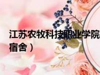 江苏农牧科技职业学院宿舍几人间（江苏农牧科技职业学院宿舍）