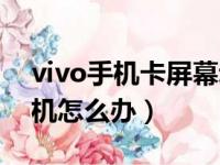 vivo手机卡屏幕动不了怎么办（vivo手机死机怎么办）