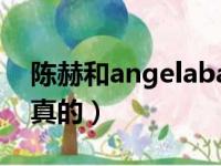 陈赫和angelababy关系（陈赫和baby是否真的）