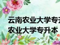 云南农业大学专升本录取分数线2023（云南农业大学专升本）