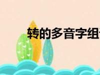 转的多音字组词（漂的多音字组词）