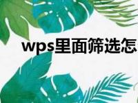 wps里面筛选怎么用（wps筛选怎么用）