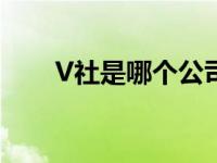 V社是哪个公司的（v社是哪个公司）