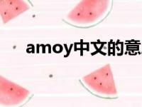 amoy中文的意思（amoy是什么意思）