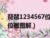 琵琶1234567位置图解d调（琵琶1234567位置图解）