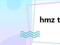 hmz t2p（hmz t2）