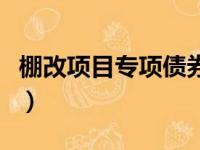 棚改项目专项债券实施方案（棚改专项债问世）