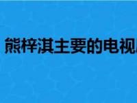 熊梓淇主要的电视剧（熊梓淇主演的电视剧）