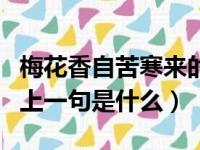 梅花香自苦寒来的前一句（梅花香自苦寒来的上一句是什么）