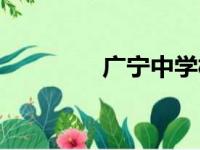 广宁中学校长（广宁中学）