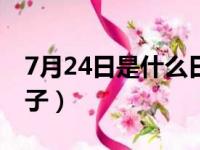 7月24日是什么日子白露（7月24日是什么日子）