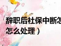 辞职后社保中断怎么处理好（辞职后社保中断怎么处理）