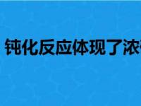 钝化反应体现了浓硫酸的什么性（钝化反应）