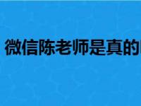 微信陈老师是真的吗（网上陈老师是真是假）