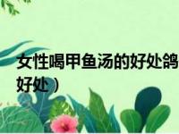 女性喝甲鱼汤的好处鸽子炖汤有什么好处（女性喝甲鱼汤的好处）