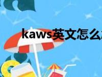 kaws英文怎么念（kaws英文怎么读）