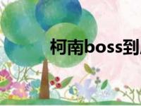 柯南boss到底是谁（柯南boss）