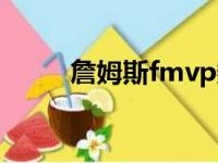 詹姆斯fmvp数据（詹姆斯fmvp）